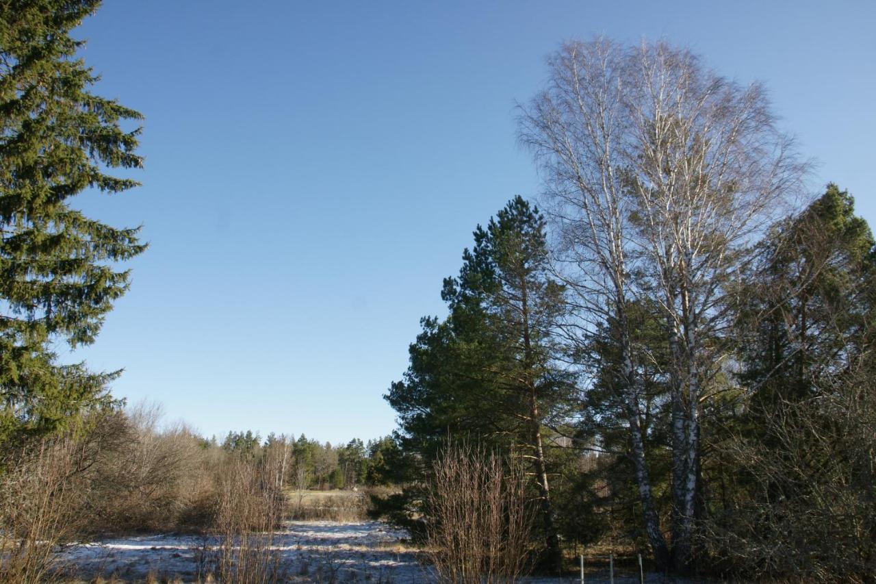 Bjoerkholm - Villa In Målilla Eksteriør bilde